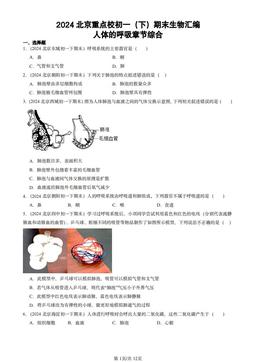 2024北京重点校初一（下）期末生物汇编：人体的呼吸章节综合-答案