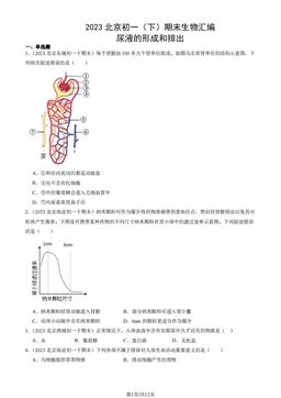 2023北京初一（下）期末生物汇编：尿液的形成和排出-答案