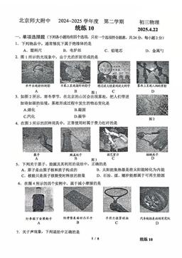 2025北京北师大附中初三（下）统练十物理-试题
