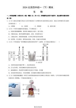 2024北京四中初一（下）期末生物（教师版）-答案
