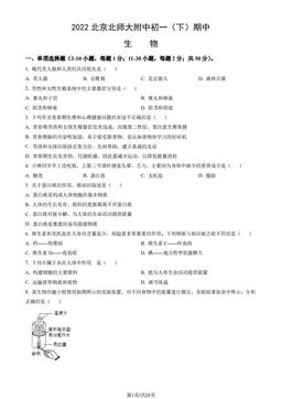 2022北京北师大附中初一（下）期中生物（教师版）-答案