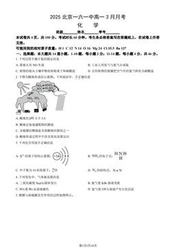 2025北京一六一中高一3月月考化学（教师版）-答案