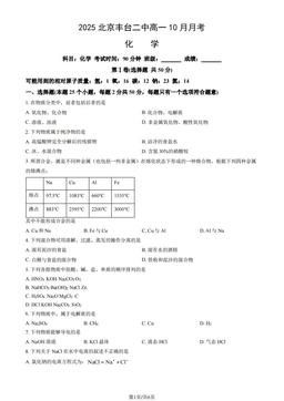 2025北京丰台二中高一10月月考化学（教师版）-答案