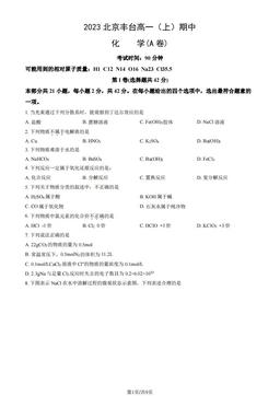 2023北京丰台高一（上）期中化学（A卷）（教师版）-答案