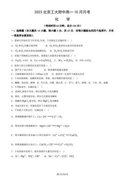 2023北京工大附中高一10月月考化学（教师版）-答案