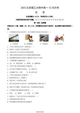 2023北京理工大附中高一12月月考化学（教师版）-答案
