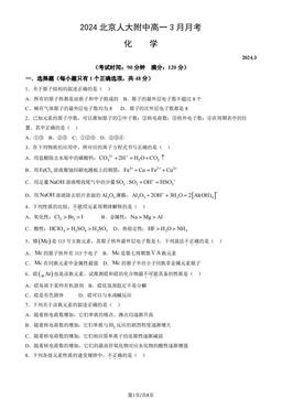 2024北京人大附中高一3月月考化学（教师版）-答案