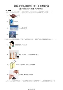 2024北京重点校初二（下）期中物理汇编：流体的压强与流速（京改版）