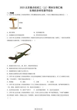 2023北京重点校初二（上）期末生物汇编：生物的多样性章节综合-答案