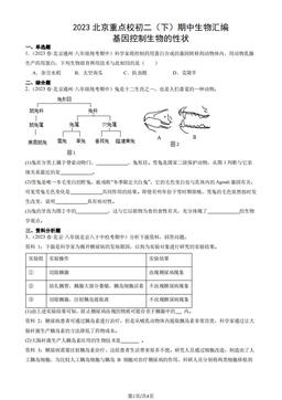 2023北京重点校初二（下）期中生物汇编：基因控制生物的性状-答案