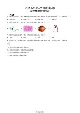 2023北京初二一模生物汇编：动物体的结构层次-答案