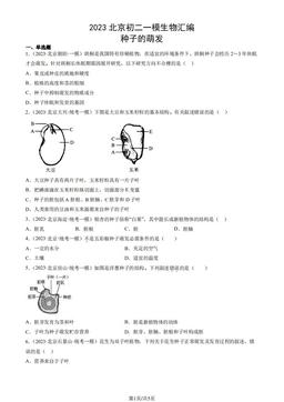 2023北京初二一模生物汇编：种子的萌发-答案