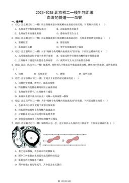 2023-2025北京初二一模生物汇编：血流的管道——血管-答案