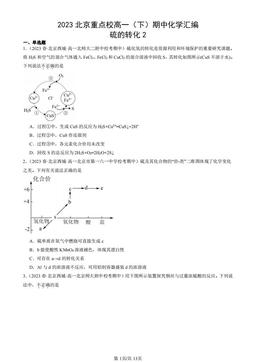 2023北京重点校高一（下）期中化学汇编：硫的转化2-答案