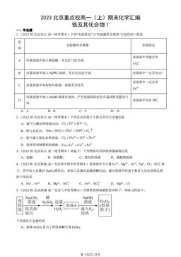 2023北京重点校高一（上）期末化学汇编：铁及其化合物1-答案