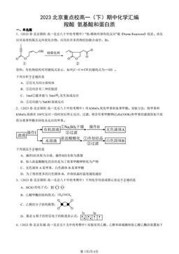 2023北京重点校高一（下）期中化学汇编：羧酸 氨基酸和蛋白质-答案