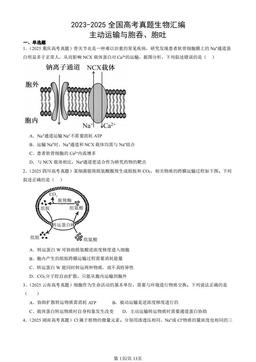 2023-2025全国高考真题生物汇编：主动运输与胞吞、胞吐-答案
