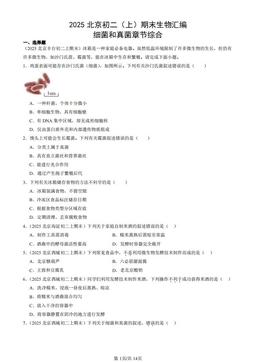 2025北京初二（上）期末生物汇编：细菌和真菌章节综合-答案