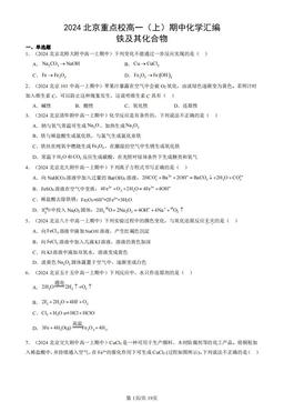 2024北京重点校高一（上）期中化学汇编：铁及其化合物-答案