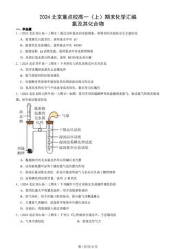 2024北京重点校高一（上）期末化学汇编：氯及其化合物-答案