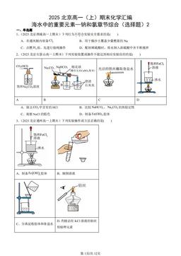 2025北京高一（上）期末化学汇编：海水中的重要元素—钠和氯章节综合（选择题）2-答案
