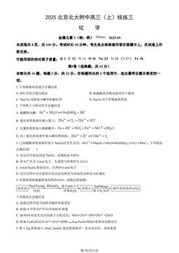 2025北京北大附中高三（上）统练三化学（教师版）-答案