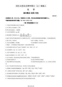 2025北京北大附中高三（上）统练二化学（教师版）-答案