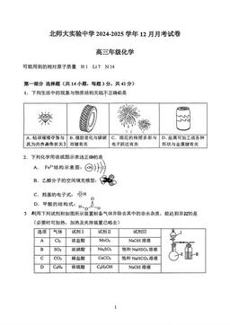 2024北京北师大实验中学高三12月月考化学-答案