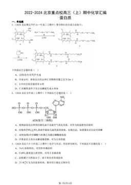 2022-2024北京重点校高三（上）期中化学汇编：蛋白质-答案