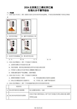 2024北京高三二模化学汇编：生物大分子章节综合-答案