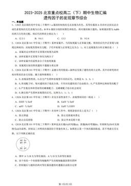 2023-2025北京重点校高二（下）期中生物汇编：遗传因子的发现章节综合-答案