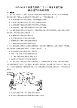 2023-2025北京重点校高二（上）期末生物汇编：神经调节的分级调节-答案