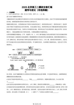 2025北京高三二模政生物汇编：遗传与进化（非选择题）-答案