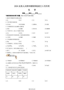 2024北京人大附中朝阳学校初三5月月考化学（教师版）-答案