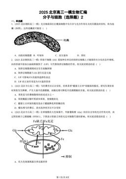 2025北京高三一模生物汇编：分子与细胞（选择题）2-答案