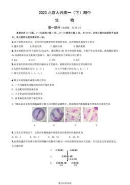 2023北京大兴高一（下）期中生物（教师版）-答案
