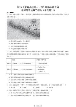 2025北京重点校高一（下）期中生物汇编：基因的表达章节综合（单选题）3-答案