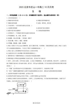 2023北京牛栏山一中高二10月月考生物（教师版）-答案