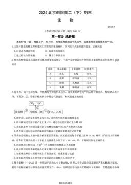 2024北京朝阳高二（下）期末生物（教师版）-答案