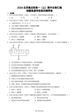 2024北京重点校高一（上）期中生物汇编：核酸是遗传信息的携带者-答案