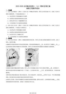 2023-2025北京重点校高一（上）期末生物汇编：细胞工程章节综合-答案