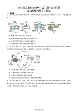 2023北京重点校高一（上）期中生物汇编：主动运输与胞吞、胞吐-答案