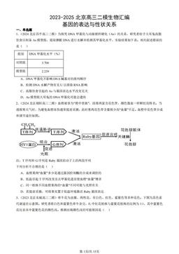 2023-2025北京高三二模生物汇编：基因的表达与性状关系-答案