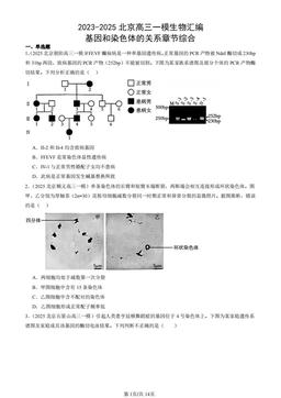 2023-2025北京高三一模生物汇编：基因和染色体的关系章节综合-答案