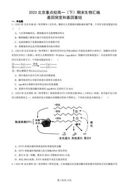 2023北京重点校高一（下）期末生物汇编：基因突变和基因重组-答案