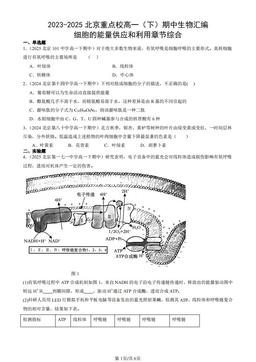 2023-2025北京重点校高一（下）期中生物汇编：细胞的能量供应和利用章节综合-答案