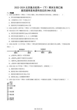 2022-2024北京重点校高一（下）期末生物汇编：基因通常是有遗传效应的DNA片段-答案