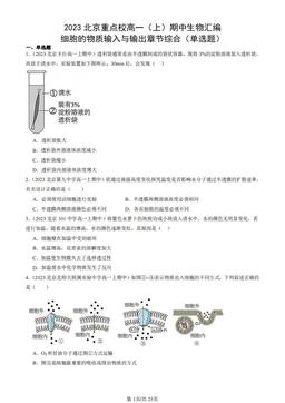 2023北京重点校高一（上）期中生物汇编：细胞的物质输入与输出章节综合（单选题）-答案
