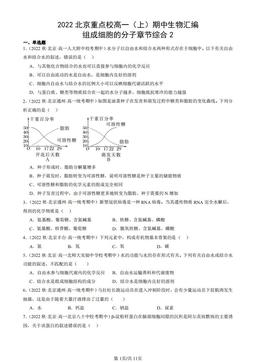 2022北京重点校高一（上）期中生物汇编：组成细胞的分子章节综合2-答案