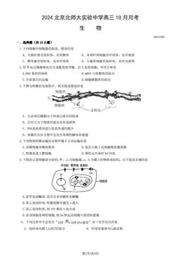 2024北京北师大实验中学高三10月月考生物（教师版）-答案